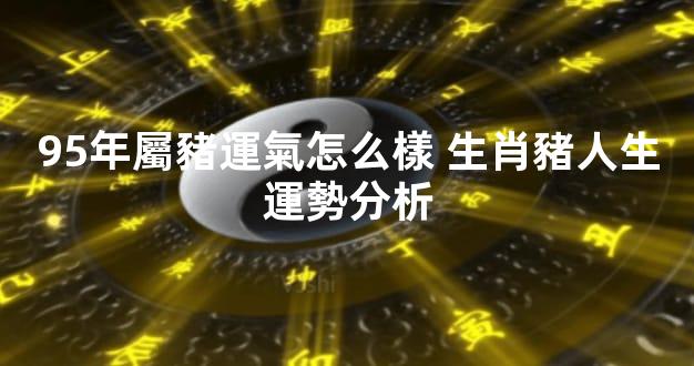 95年屬豬運氣怎么樣 生肖豬人生運勢分析
